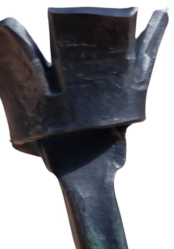 rosa2